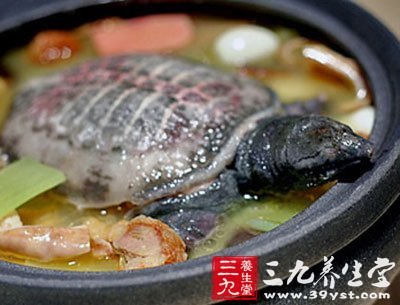 甲魚(yú)豬脊髓湯