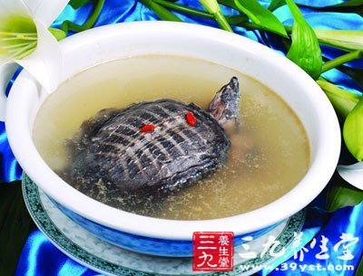 清燉甲魚(yú)湯