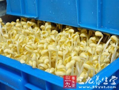 有毒水生产豆芽人员被判刑如何辨别有毒豆芽