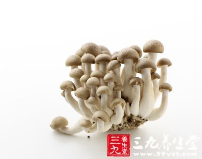 蘑菇可以預(yù)防乳腺癌