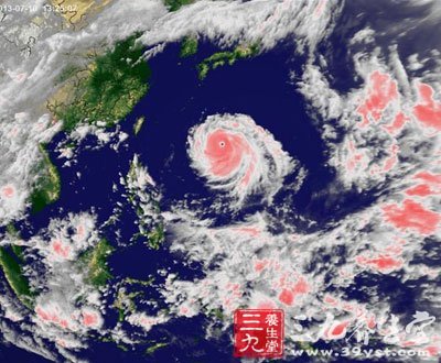 菲律宾遭海燕袭击上万人死 遭遇台风咋办