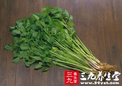 芹菜具有降血壓、降血脂、防治動脈粥樣硬化的作用