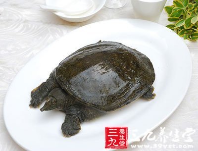 甲魚還能補(bǔ)勞傷，壯陽氣，大補(bǔ)陰之不足