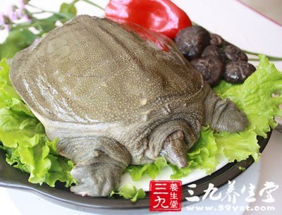 甲魚富含動(dòng)物膠、角蛋白、銅、維生素D等營養(yǎng)素，能夠增強(qiáng)身體的抗病能力及調(diào)節(jié)人體的內(nèi)分泌功能