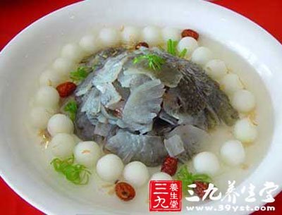 瓤甲魚(yú)