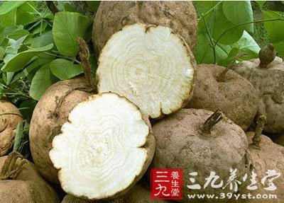 葛根总黄酮和葛根素能减慢心率,降低心脏总外周阻力,减少心肌耗氧量