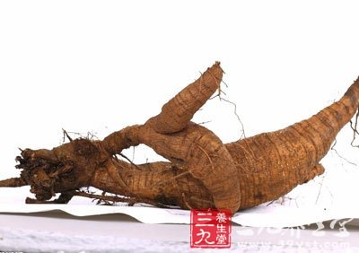 葛根中的大豆甙元具有抗乙酰胆碱作用,能够明显收缩平滑肌