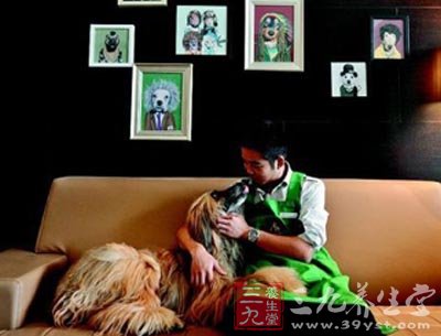 武汉豪华宠物酒店饲养宠物需谨防7种传染病