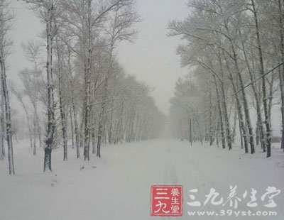 东北首场强降雪 下雪天有哪些注意事项(2)
