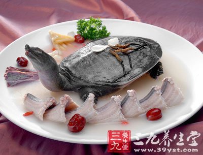 食甲魚養(yǎng)陰補虛