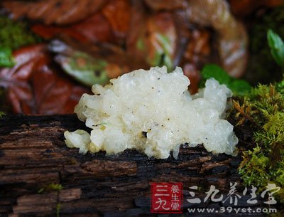 銀耳中的膳食纖維可助胃腸蠕動(dòng)，減少脂肪吸收，從而達(dá)到減肥的效果