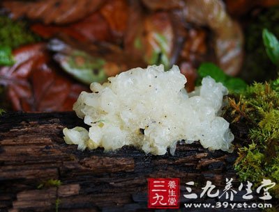 銀耳中的膳食纖維可助胃腸蠕動(dòng)