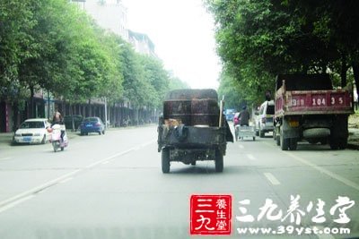 地沟油 什么是地沟油