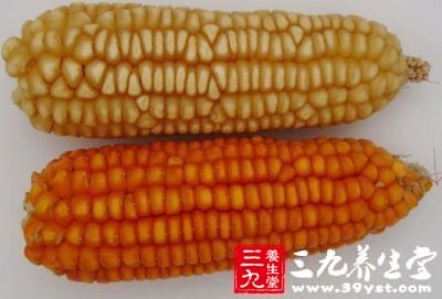 轉(zhuǎn)基因大豆油 基因工程