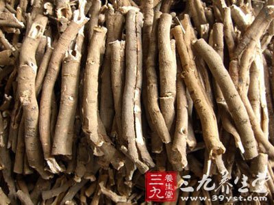 静脉注射牡丹皮提取物对犬冠脉结扎所致心肌缺血有明显保护作用