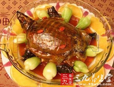 甲魚富含動物膠、角蛋白、銅、維生素D等營養(yǎng)素