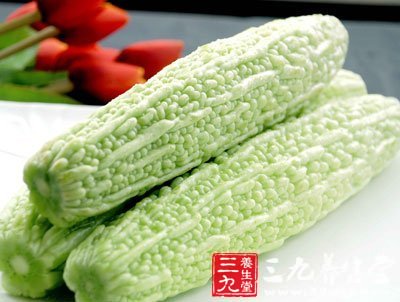 苦寒制火类如苦瓜