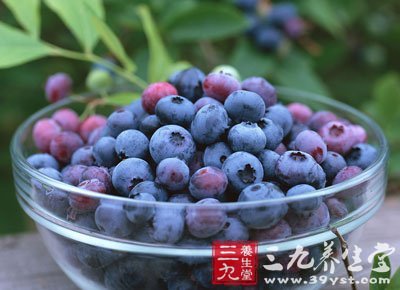 蓝莓的功效与作用 4大水果增强你的记忆力