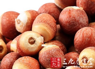 补中益气,为滋养强壮性食物,和莲子有些相似