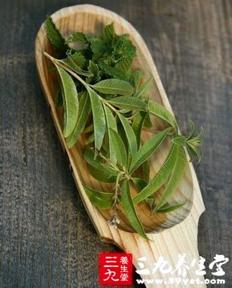 吃新鮮茶葉會(huì)食物中毒