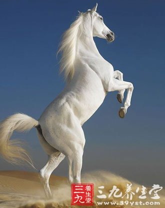 心理测试 爱情与婚姻中你的表现会如何-三九养