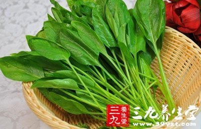 菠菜內(nèi)含有豐富的鐵質(zhì)胡蘿卜素