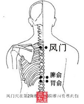 灸風(fēng)門穴可以治療一切風(fēng)證