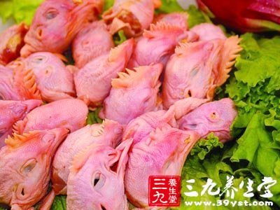 肉类饮食禁忌鸡头不能吃