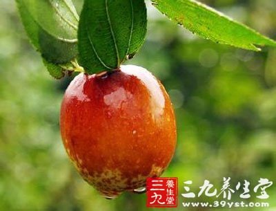 酸枣仁有抗惊的作用