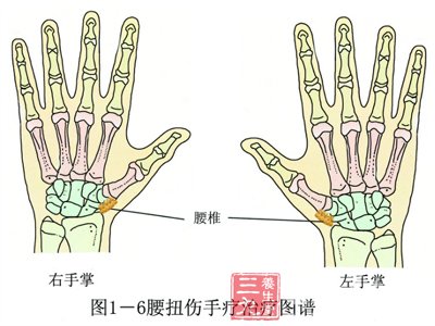 人口健康法_人口普查(3)