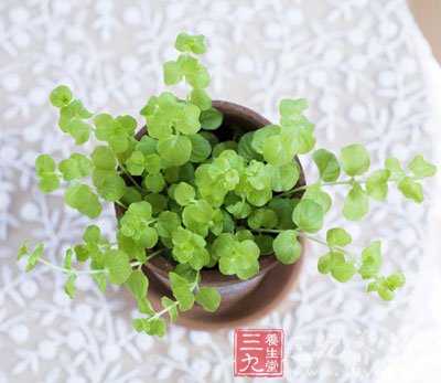 通风和绿植有助净化空气