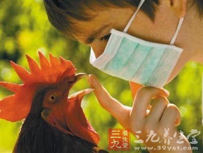 江西1人感染H10N8死亡 预防禽流感的6种方法