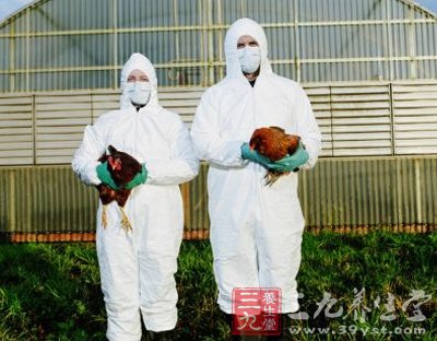 进击的禽流感 人感染禽流感有哪些症状(3)