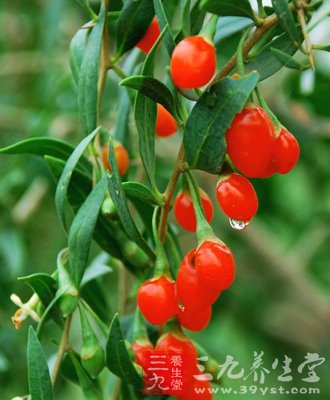 各样的眼部疾病