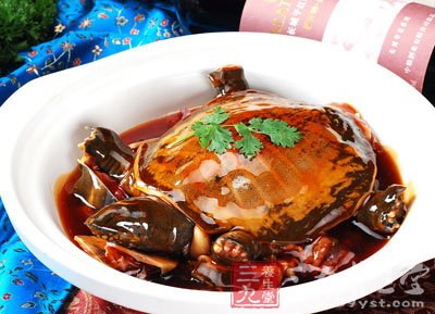 红烧甲鱼的做法 3做法让你快乐健康吃
