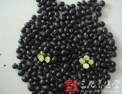 黑豆的功效与作用 美容补肾养精气