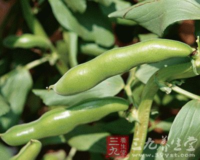 食用油的原料选择