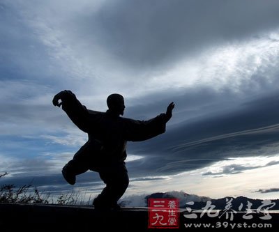 太极拳视频 陈小星陈氏老架一路教学(十一)