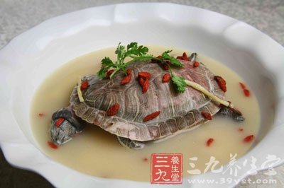 枸杞甲魚(yú)的做法