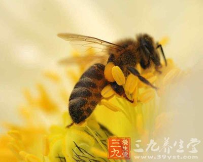 10歲以下兒童不宜飲用