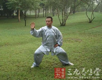 太极拳视频 赵堡太极拳教学(19至21式)
