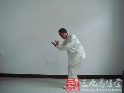 太极拳视频 赵堡太极拳教学(47至49式)