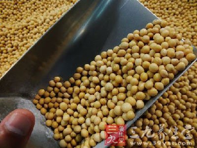 食用油信息 中国非转基因良豆被逐(2)