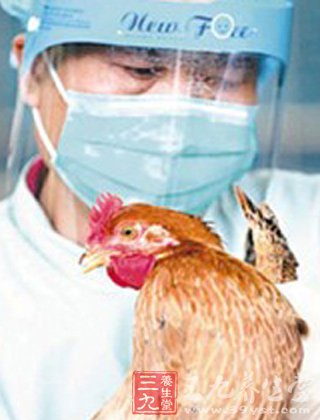 禽流感最新消息 冬季禽流感预防如何做好(3)-三