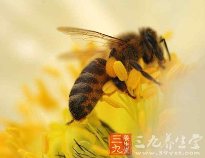 蜂王浆的药理作用 9大作用保护健康(3)