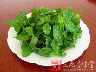 薄荷的功效与作用