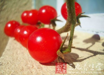���Գ��ס������������ڲ��˲���ʳ��