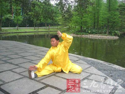 太极拳视频陈式太极拳雀地龙技击法