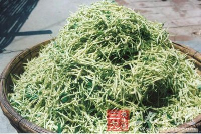 金銀花的形態(tài)養(yǎng)分足氣味濃顏色好