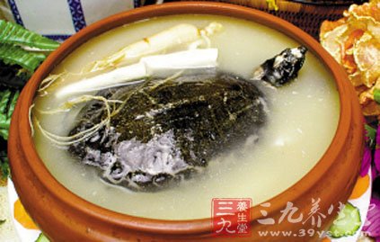 淮杞甲魚湯